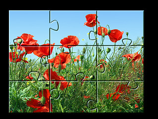 Image showing jigsaw puzzle Poppies