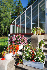 Image showing flowers in pots  next to a greenhouse