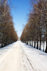 Image showing Road (winter)