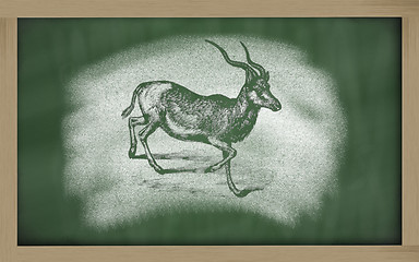 Image showing  sketch of addax on blackboard (addax nasomaculatus)