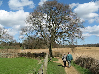 Image showing Upton Country Park