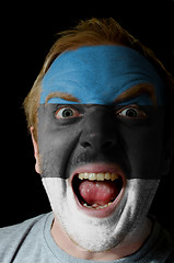 Image showing Face of crazy angry man painted in colors of estonia flag