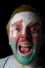 Image showing Face of crazy angry man painted in colors of wales flag