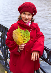 Image showing Little girl with autumn yellow leaves. Outdoor.