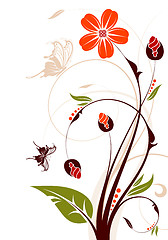 Image showing Floral background