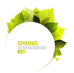 Image showing Spring abstract floral background