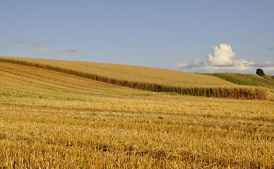 Image showing Swedish rural farmland