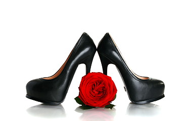 Image showing Black high-heeled shoes and a red rose.
