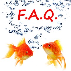 Image showing faq