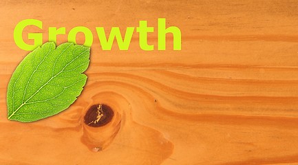 Image showing growth