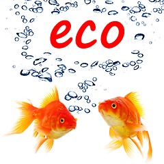 Image showing eco