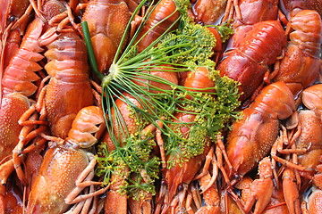 Image showing A lot of crayfish