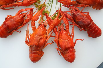 Image showing Crayfish