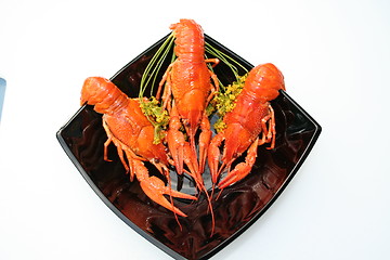 Image showing Crayfish on black