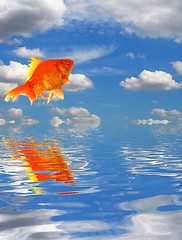 Image showing blue sky and goldfish