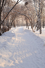 Image showing snow park