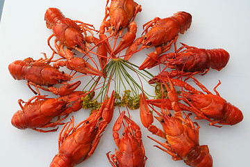 Image showing Crayfish in a circle