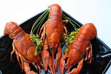 Image showing Crayfish and dill