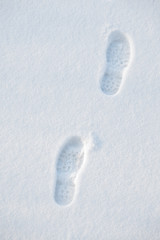 Image showing Footprint