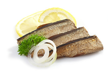 Image showing sprats on white background