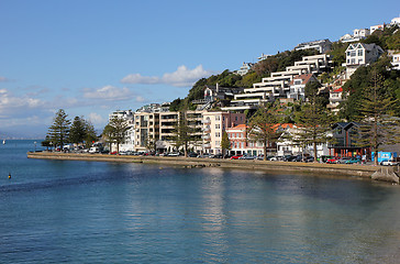 Image showing Oriental Bay