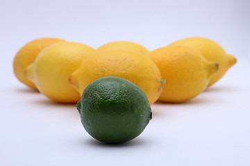 Image showing Citruses: lime and lemon