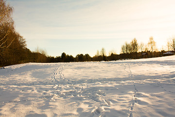 Image showing Traces on snow