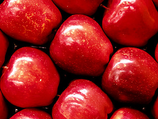 Image showing Red Apples