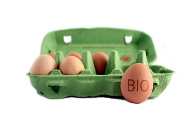 Image showing bio eggs cut free
