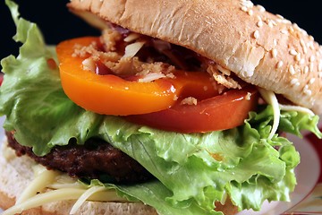 Image showing american burger 