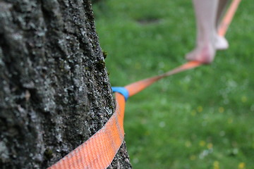 Image showing slacklining