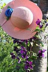 Image showing Pink hat hanging on tree