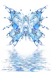 Image showing Water butterfly