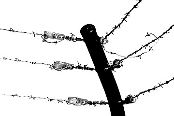 Image showing shadow barb wire