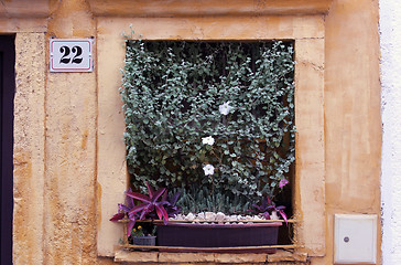 Image showing Window with flowers 