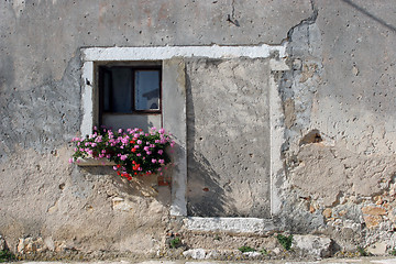 Image showing Window with flowers