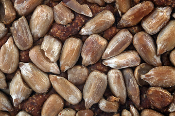 Image showing Brown bread sunflower seeds texture