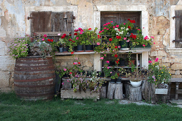 Image showing Old house with flowers