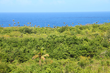 Image showing Cuba