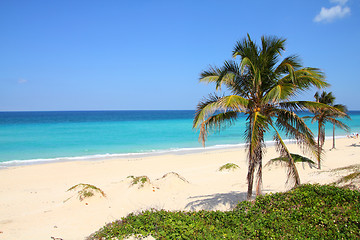 Image showing Caribbean beach