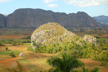 Image showing Cuba - karstic landscape