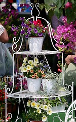 Image showing flower pots