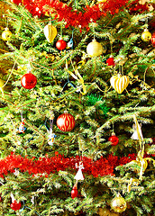 Image showing Decorated Christmas Fir Tree 