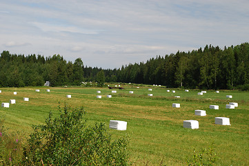 Image showing Meadows of  Northern Savonia in Eastern Finland 