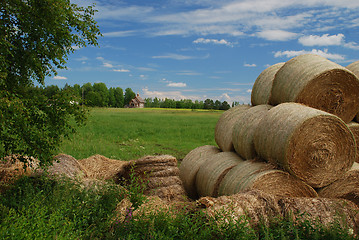 Image showing Meadows of Eastern Finland with Lonely ortodox church 