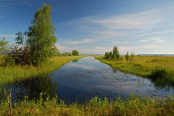 Image showing Marshy cost of lake Oulujarvi at Manamansalo island, Finland