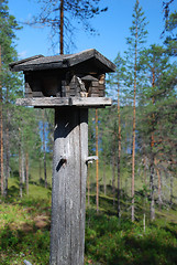 Image showing Wooden rack for wild birds in Finnish forest