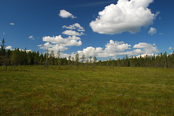 Image showing Dangerous and beutyful marsh of Northern Ostrobothnia 