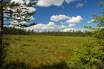 Image showing marsh of Northern Ostrobothnia in Finland