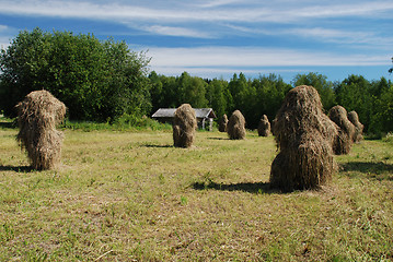 Image showing Traditional finnish haystack in Melalahti village